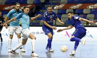 Machada del Viña Albali Valdepeñas (4-4)