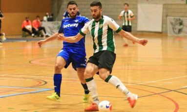 Previa | Volver al comienzo